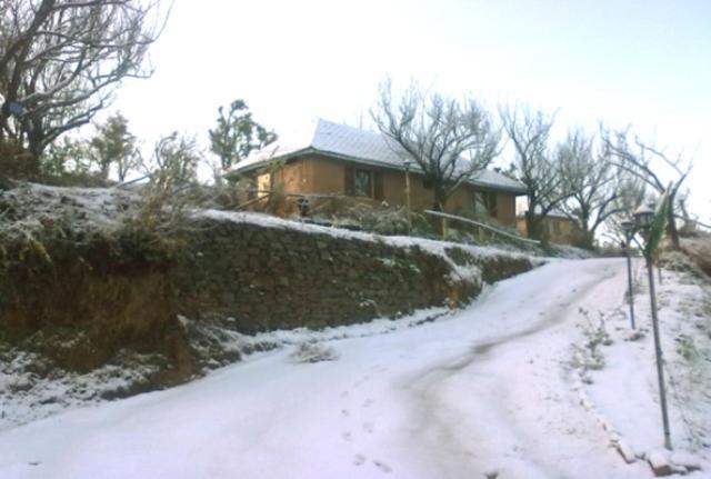 Oyo 43476 Vatika Resort Shimla Buitenkant foto
