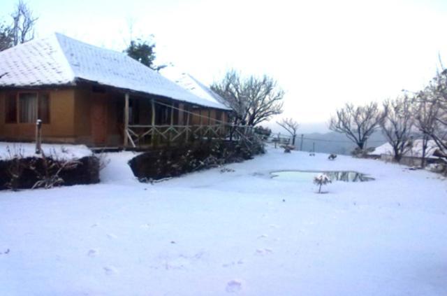 Oyo 43476 Vatika Resort Shimla Buitenkant foto
